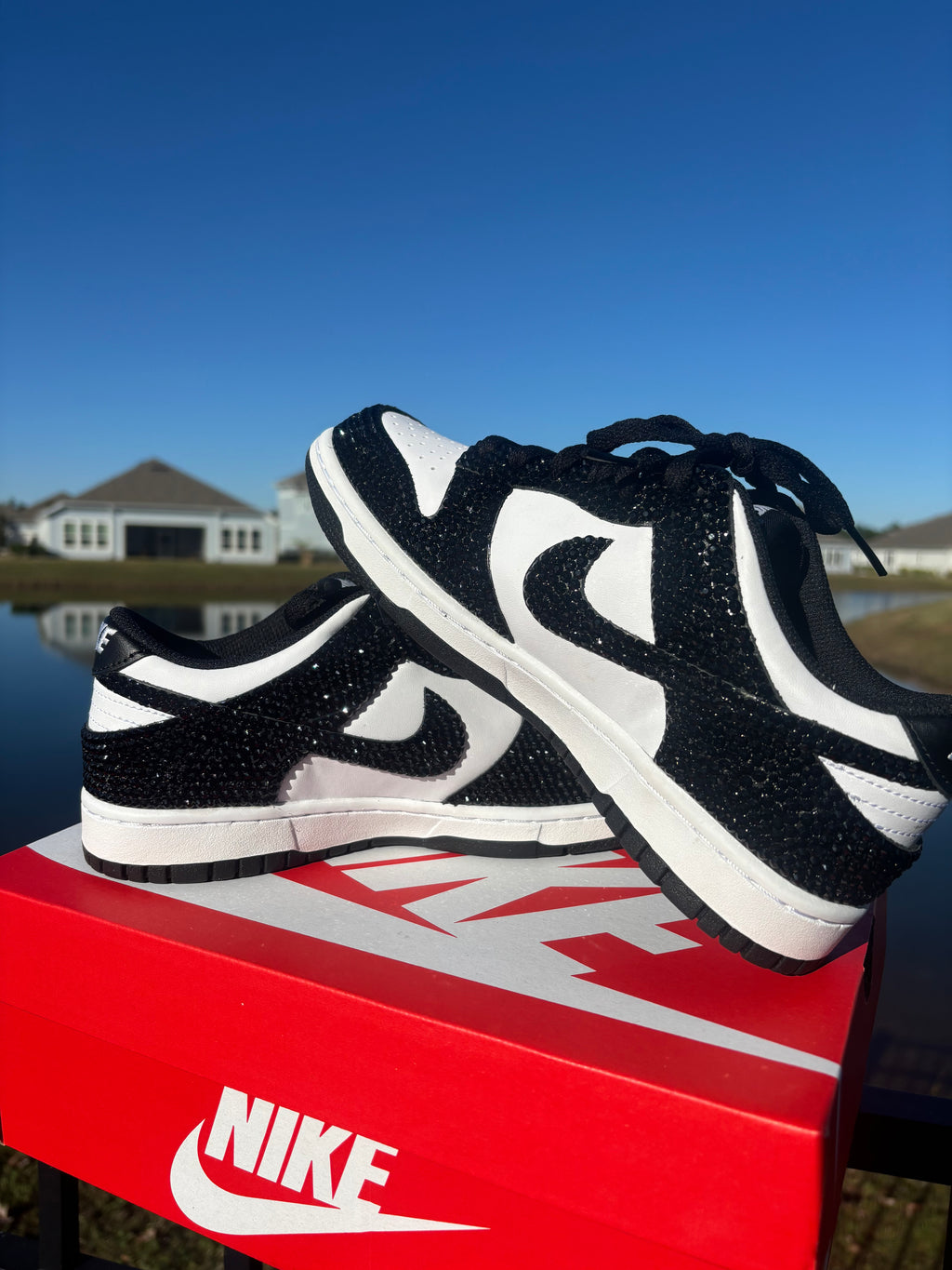 Bling Nike Dunks